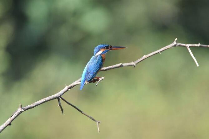 Bundala Birding Paradise - All Inclusive Tour - Is $125 good value?