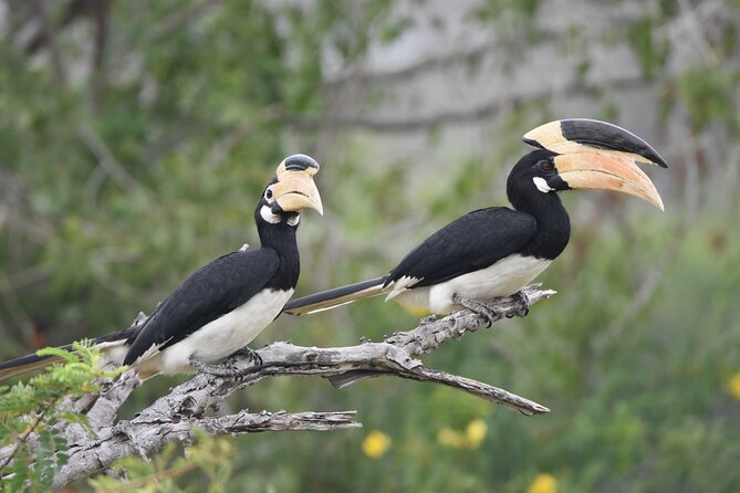 Bundala Birding Paradise - All Inclusive Tour - Who will enjoy this Bundala safari most?