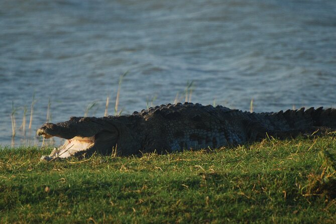 Bundala Birds Safari by Jeeps - Timing your visit from 6:00 AM to 5:00 PM