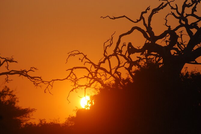 Bundala Birds Safari by Jeeps - Practical details before you book