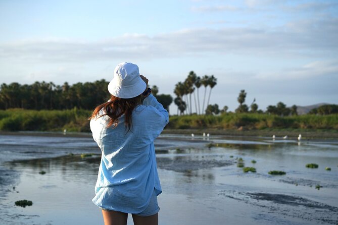 Cabo birding | Bird watching at bird sanctuary - Why the San José del Cabo Estuary Matters