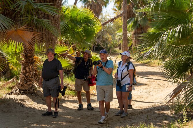 Cabo birding | Bird watching at bird sanctuary - The Citizen-Science Element Adds Purpose