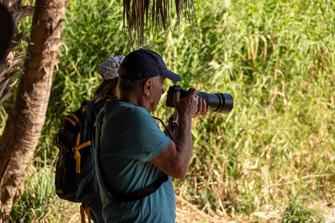 Cabo birding | Bird watching at bird sanctuary - The Main Strengths and Limitations