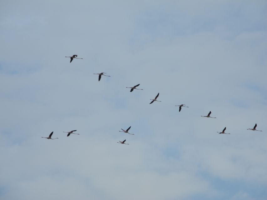 Cagliari: Bike Tour in the Flamingo Oasis - The Bonaria sanctuary and its grand staircase