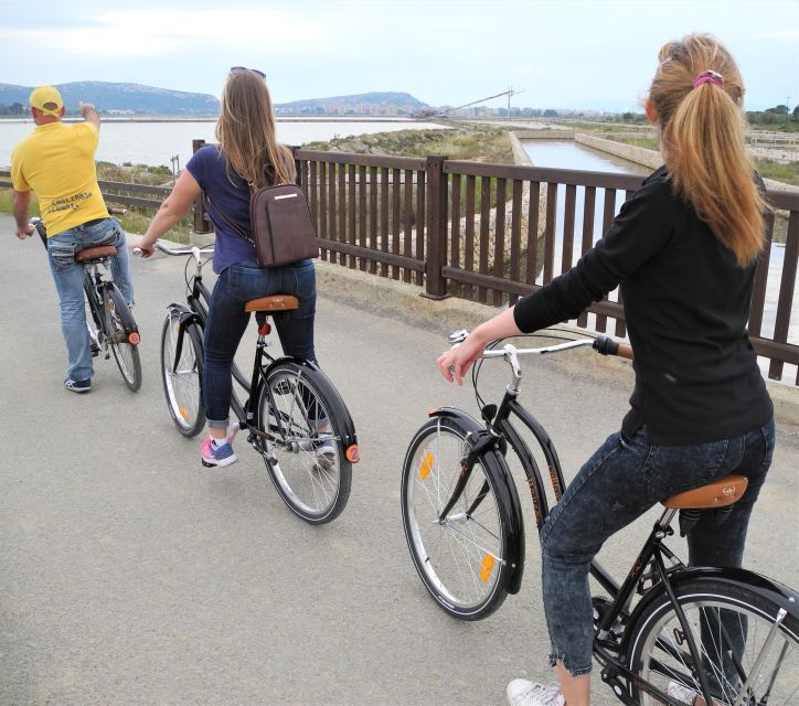 Cagliari: Bike Tour in the Flamingo Oasis - Along the sea, river, and former stadium area