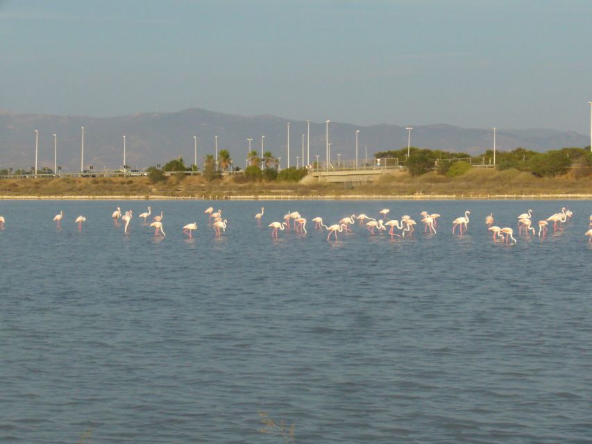Cagliari: Bike Tour in the Flamingo Oasis - Starting at the marina on Via Sant’Eulalia