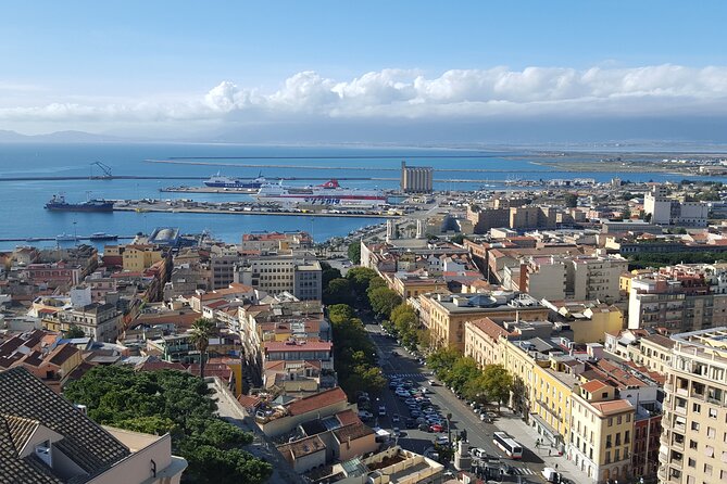 Cagliari city tour and flamingo park by minivan and on foot - What the minivan format adds