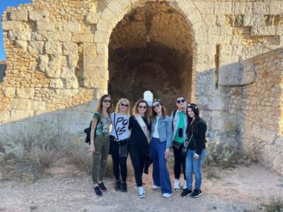 Cagliari City tour and Flamingos Park by minivan and walking