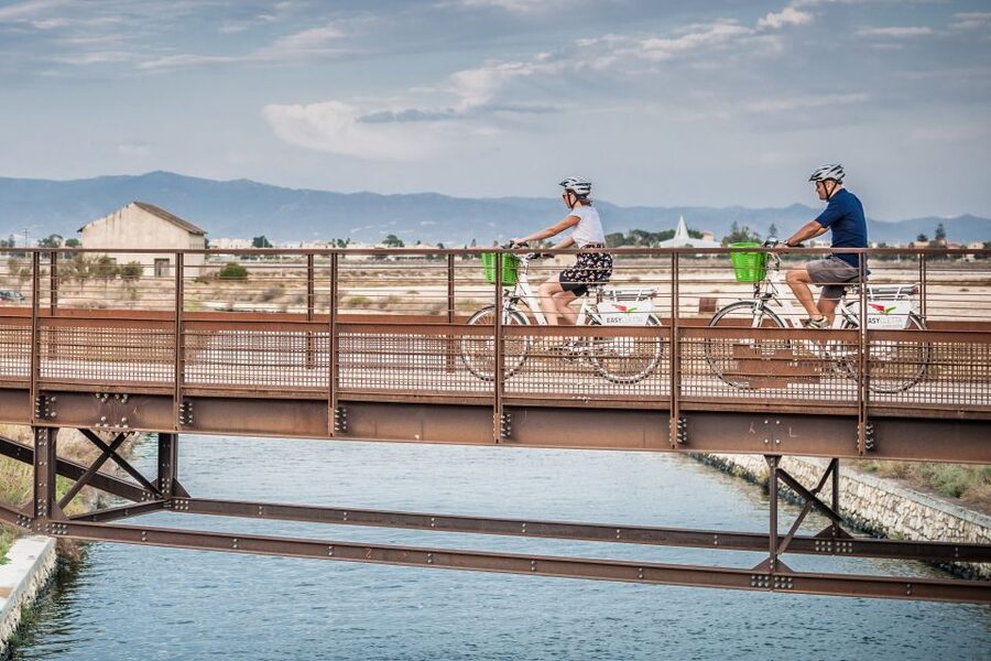 Cagliari E-Bike Tour: Canals & Flamingos at Molentargius - From Cagliari’s Port to the Terramaini Canal