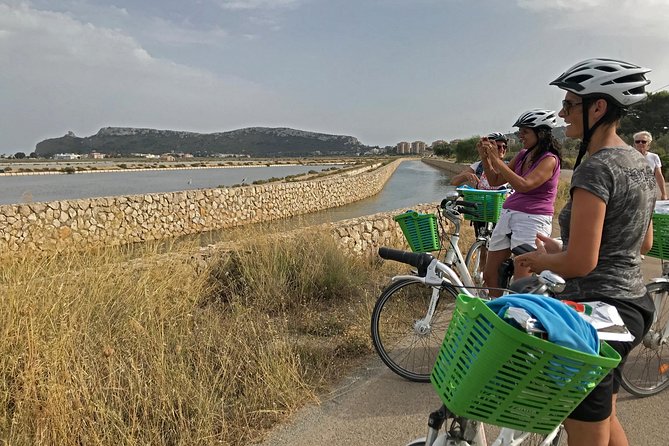 Cagliari E-Bike Tour: Gulf, Canals & Flamingos at Molentargius - Starting near the harbor at 9 a.m.