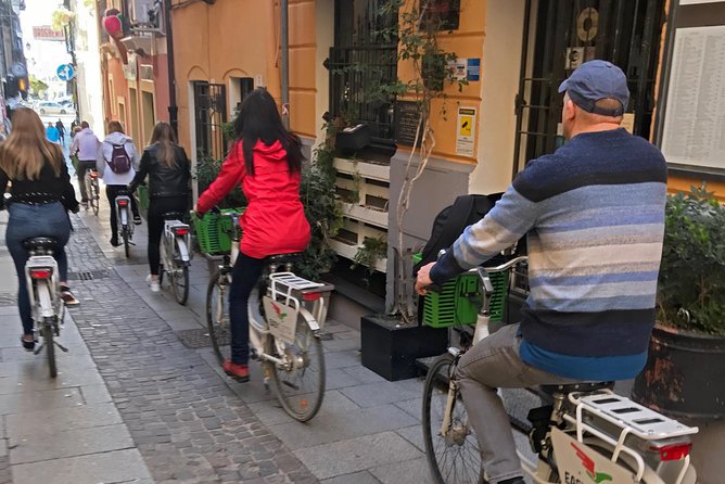 Cagliari E-Bike Tour: Gulf, Canals & Flamingos at Molentargius - Molentargius, where salt ponds became bird habitat