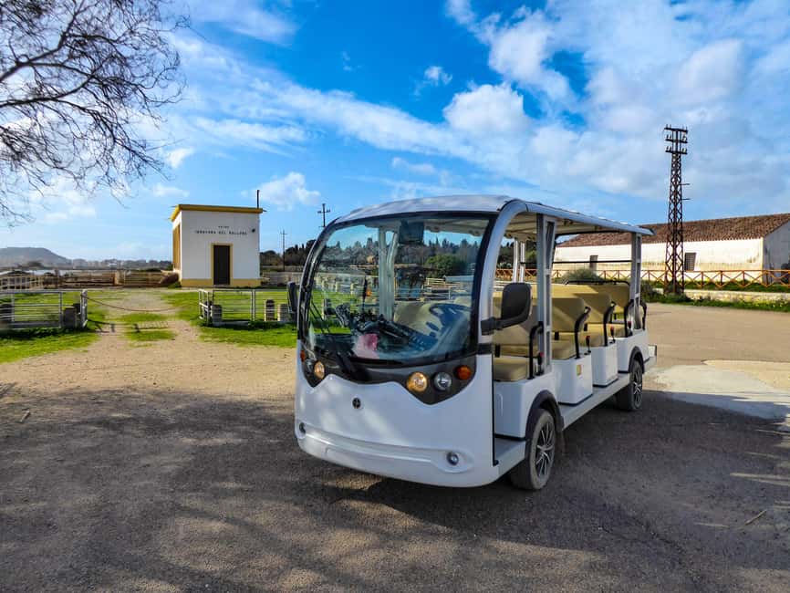 Cagliari: EcoSafari Flamingos Tour in Molentargius Park - Riding the electric minibus through the park