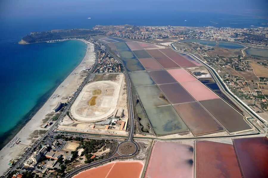 Cagliari: EcoSafari Flamingos Tour in Molentargius Park - More than flamingos: birdwatching in Molentargius