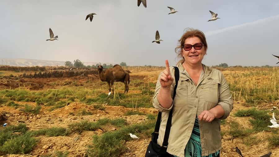 Cairo: Wadi El Ryan Fayoum Oasis &Bird Watching Private Tour - Why Fayoum makes a good break from Cairo