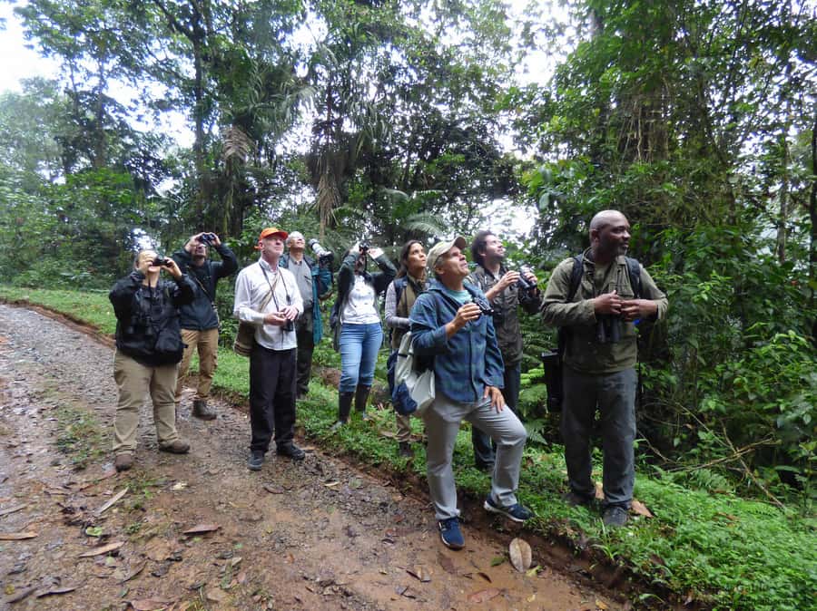 Cali: Bird Watching in The San Antonio Fog Forest - Guides, language, and the small-group advantage