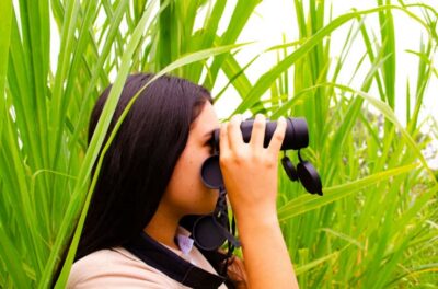 Cali: Birdwatching in la Cumbre
