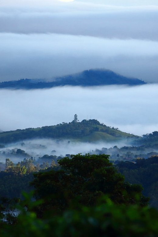 Cali: Birdwatching in la Cumbre - A 40-minute breakfast picnic outdoors