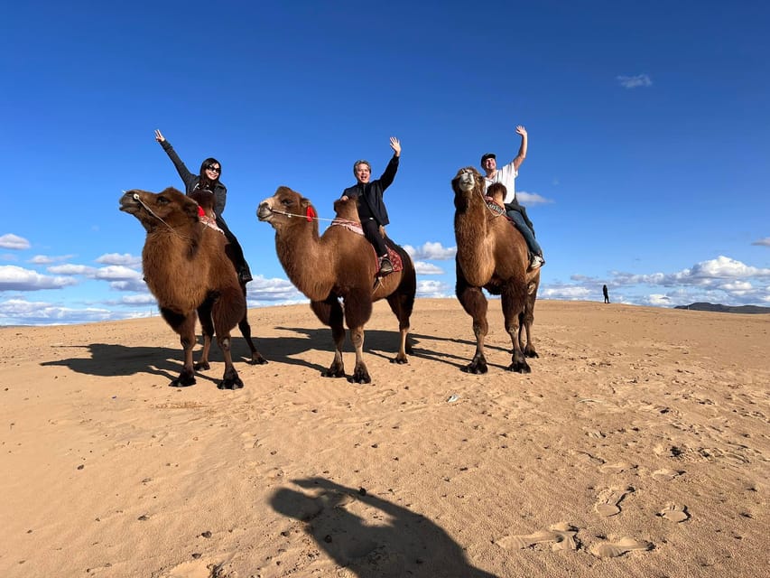 Camel Trails and Bird Tales: Discovering Elsen Tasarkhai - Camel riding across the Elsen Tasarkhai dunes