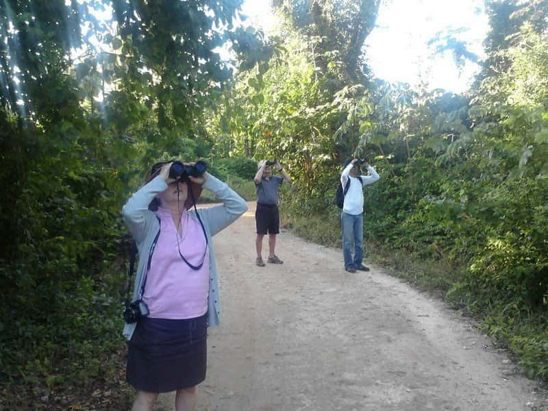 Cancun: Private Birdwatching Tour - Should you book the Cancun private birdwatching tour?