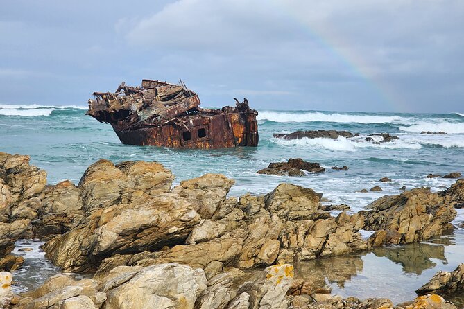 Cape Agulhas, Hermanus Whale Watching, Penguins and Wine Tasting - The coastal return is part of the experience