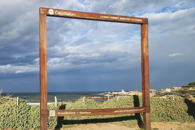 Cape Agulhas, Hermanus Whale Watching, Penguins and Wine Tasting - What the private format adds