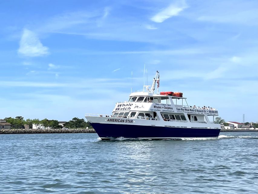 Cape May: Dolphin and Bird Watching Cruise - A practical look at the two-hour flow