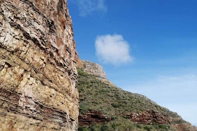 Cape of Good Hope and Penguin Beach Tour in Cape Town - Bo-Kaap gives the morning some local context