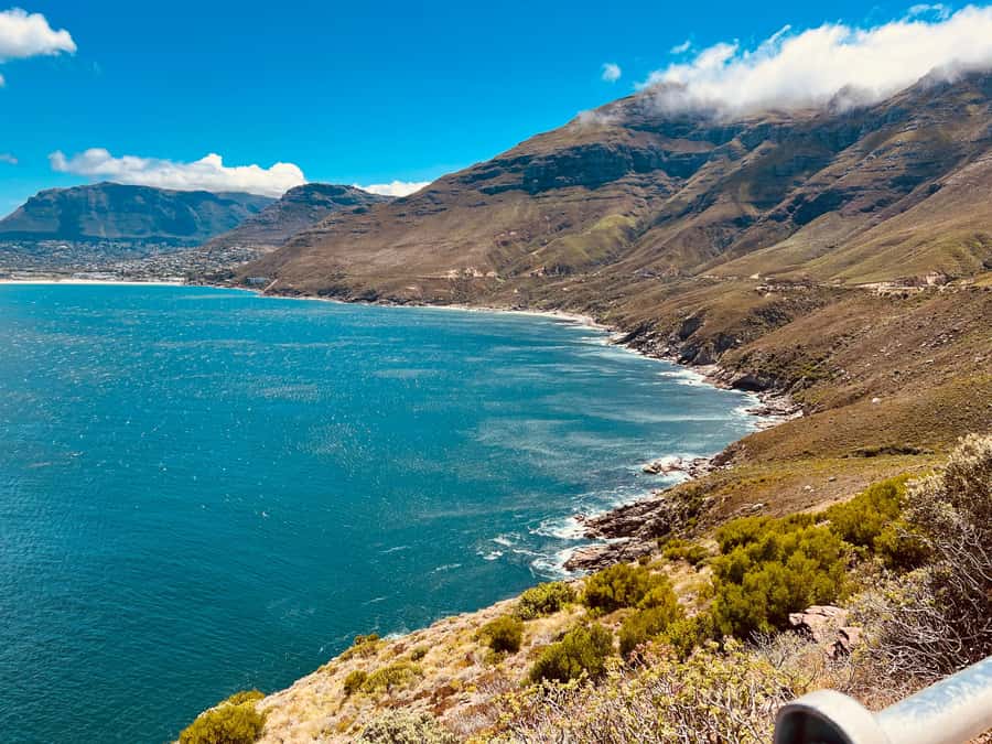 Cape of Good Hope and Penguins Full-Day Private Tour - Lunch in Simon’s Town