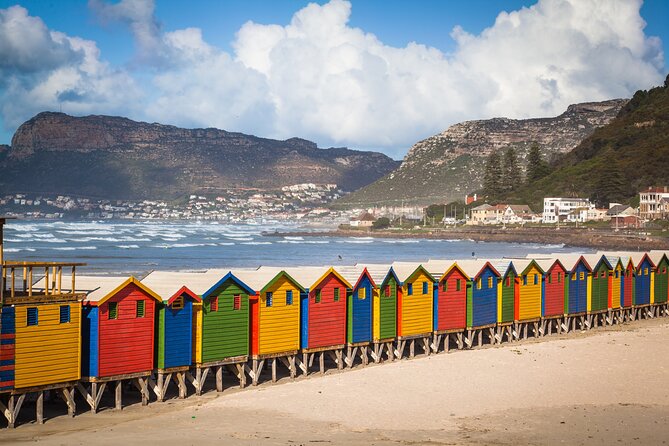 Cape Of Good Hope and Penguins Full Day Small Group Tour from Cape Town - What this Cape Peninsula day tour does well