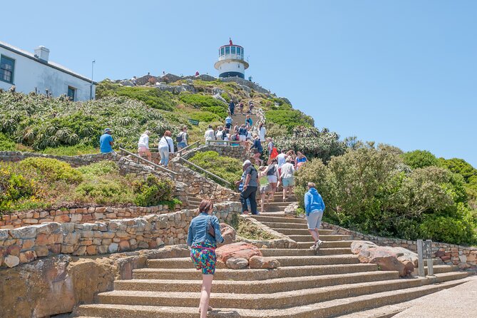 Cape Of Good Hope and Penguins Full Day Small Group Tour from Cape Town - Cape of Good Hope and Cape Point