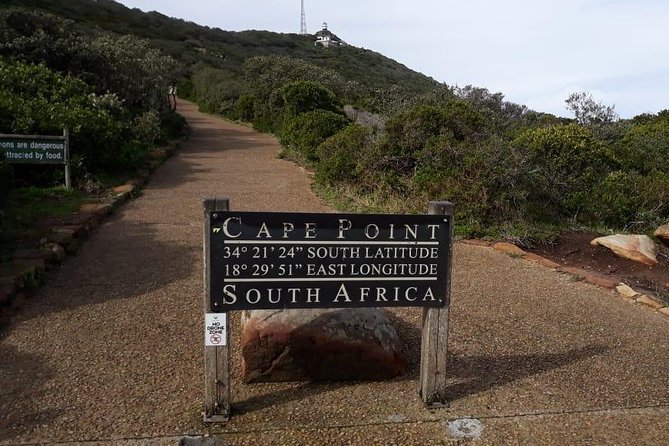Cape of Good Hope and Penguins - Small Group - Full day - Why this route works in one long day