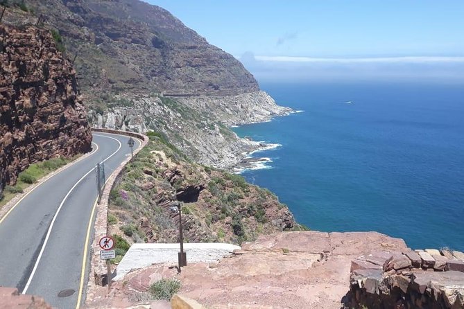 Cape of Good Hope and Penguins - Small Group - Full day - Hout Bay and the optional seal boat