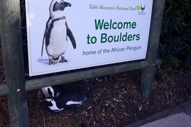 Cape of Good Hope and Penguins - Small Group - Full day - Boulders Beach and the African penguins