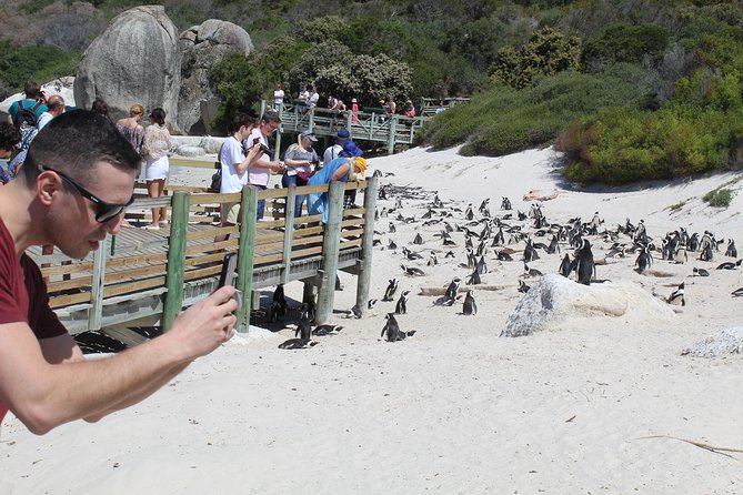 Cape Of Good Hope Bo-Kaap Penguins Full Day tour From Cape Town - Camps Bay and the Twelve Apostles