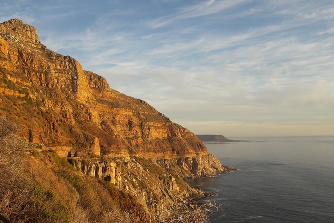 Cape of Good Hope, Cape Point & Penguins Private Afternoon Tour - Why this private afternoon tour works