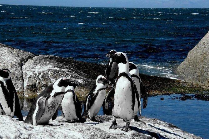 Cape of Good Hope, Cape Point & Penguins Private Afternoon Tour - Cape Point lighthouse and the funicular choice