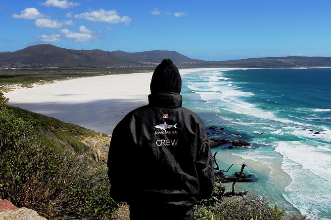 Cape of Good Hope, Cape Point & Penguins Private customizable Full Day Tour - Cape Point Lighthouse and the Cape of Good Hope Sign