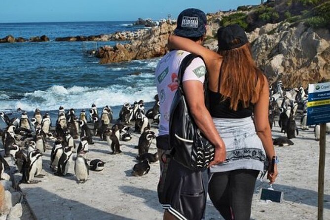 Cape of Good Hope-Cape Point - Penguins Private Tour Cape Town - Is $51.95 good value?