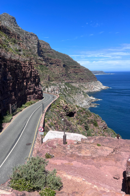 Cape of Good Hope, Chapman's Peak Drive, Penguins , Seals - Cape of Good Hope and the reserve