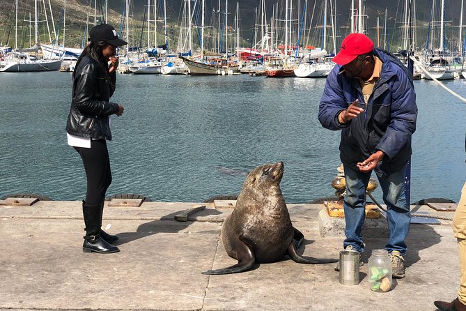 Cape of Good Hope-Penguin-Private Tour Combined With Wine Tasting Full Day Tour - One private day around the Cape Peninsula