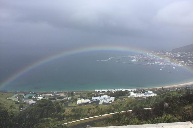 Cape of Good Hope-Penguin-Private Tour Combined With Wine Tasting Full Day Tour - Wine at Cape Point Vineyards comes with an ocean view