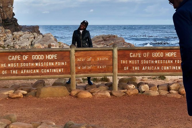 Cape of Good Hope-Penguin-Private Tour Combined With Wine Tasting Full Day Tour - Boulders Beach is the wildlife highlight