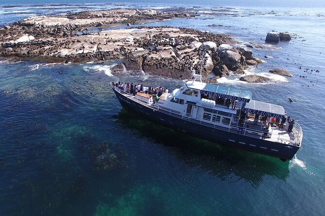 Cape of Good Hope & Penguins from Cape Town Full-Day Private Tour - Hout Bay seals and the optional boat ride