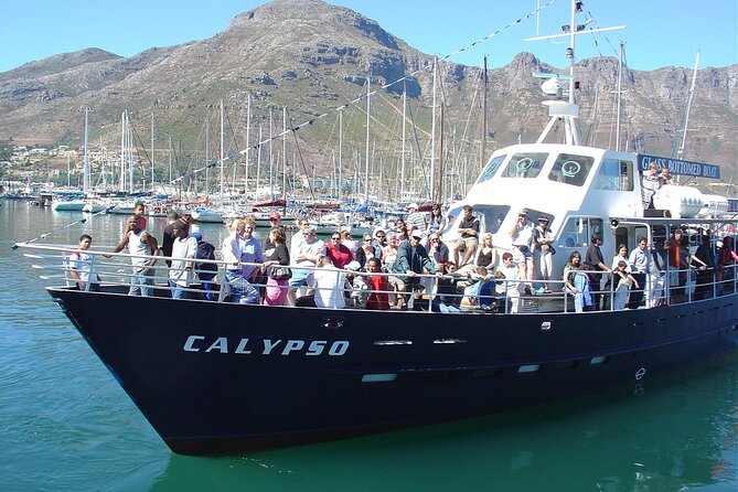 Cape of Good Hope & Penguins from Cape Town Full-Day Private Tour - A short ostrich stop before Cape Point