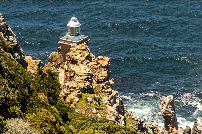 Cape of Good Hope & Penguins Full Day Tour From (The Mother City) Cape Town. - A small-group start in Bo-Kaap