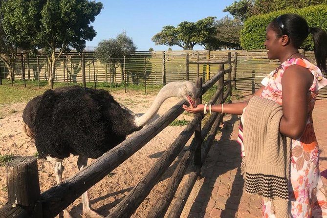 Cape of Good Hope & Penguins Full Day Tour From (The Mother City) Cape Town. - Two hours inside Cape Point Nature Reserve