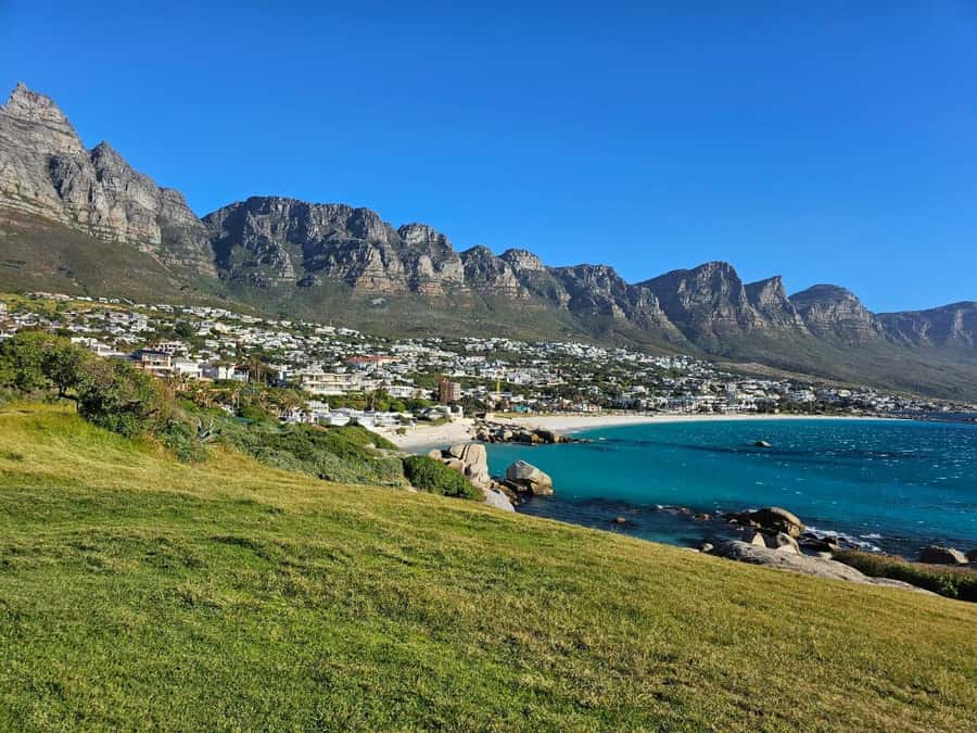 Cape of Good Hope & Penguins Private Tour - Private guiding is the tour’s real advantage