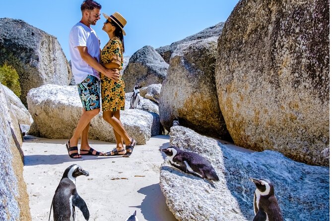 Cape of Good Hope & Penguins Small Group Tour from Cape Town - Why this Cape Peninsula day trip works