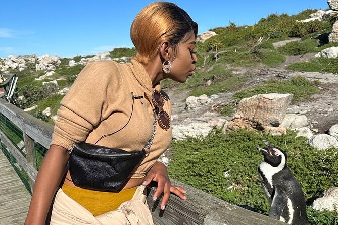 Cape of Good Hope & Penguins Small Group Tour from Cape Town - Cape of Good Hope and Cape Point