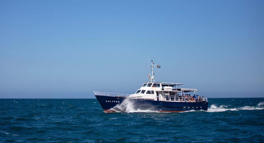 Cape of Good Hope & Penguins Small Group Tour from Cape Town - Cape of Good Hope and Cape Point